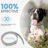 Umran PUPMATE Collar for Dogs & Cats, 100% Natural Ingredient, 8-Month Prevention
